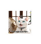 夏、白猫日和（個別スタンプ：25）