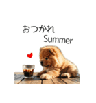 夏のふわふわチャウチャウ【日常会話】（個別スタンプ：2）