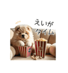 夏のふわふわチャウチャウ【日常会話】（個別スタンプ：11）