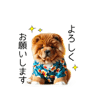 夏のふわふわチャウチャウ【日常会話】（個別スタンプ：16）