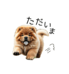 夏のふわふわチャウチャウ【日常会話】（個別スタンプ：17）