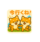 ひまわり柴犬の夏休みスタンプ（個別スタンプ：2）