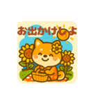 ひまわり柴犬の夏休みスタンプ（個別スタンプ：3）