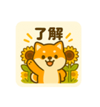 ひまわり柴犬の夏休みスタンプ（個別スタンプ：5）