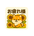 ひまわり柴犬の夏休みスタンプ（個別スタンプ：6）