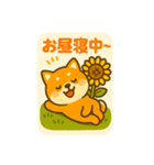 ひまわり柴犬の夏休みスタンプ（個別スタンプ：9）