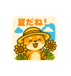 ひまわり柴犬の夏休みスタンプ（個別スタンプ：13）
