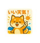 ひまわり柴犬の夏休みスタンプ（個別スタンプ：14）