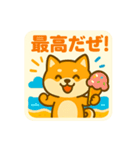 ひまわり柴犬の夏休みスタンプ（個別スタンプ：17）