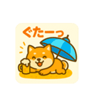ひまわり柴犬の夏休みスタンプ（個別スタンプ：19）