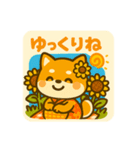 ひまわり柴犬の夏休みスタンプ（個別スタンプ：22）