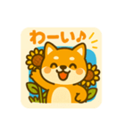 ひまわり柴犬の夏休みスタンプ（個別スタンプ：23）