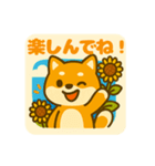 ひまわり柴犬の夏休みスタンプ（個別スタンプ：24）