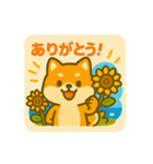 ひまわり柴犬の夏休みスタンプ（個別スタンプ：25）