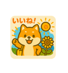 ひまわり柴犬の夏休みスタンプ（個別スタンプ：26）