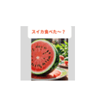夏の日常メッセージ（個別スタンプ：13）