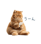 リアクションエキゾチックショートヘア（個別スタンプ：1）