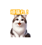 とにかくかわいい ジャパニーズボブテイル（個別スタンプ：22）
