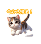 とにかくかわいい ジャパニーズボブテイル（個別スタンプ：36）