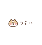 柴犬の気持ちを伝える省スペース2（個別スタンプ：31）