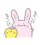 うさはむねこぴよ！スタンプ（個別スタンプ：17）