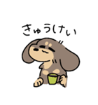 ブラタン＆チョコタンのあしのみじかいいぬ（個別スタンプ：4）