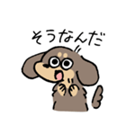 ブラタン＆チョコタンのあしのみじかいいぬ（個別スタンプ：15）