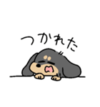 ブラタン＆チョコタンのあしのみじかいいぬ（個別スタンプ：18）