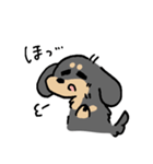 ブラタン＆チョコタンのあしのみじかいいぬ（個別スタンプ：25）