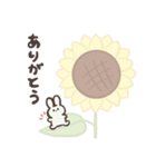 ちんまりとしたうさぎのプック。(夏)文字付（個別スタンプ：12）