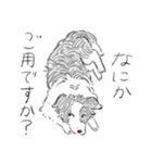 やる気のないボーダーコリー（個別スタンプ：1）