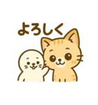 茶トラにゃんこと白アザラシの毎日（個別スタンプ：25）