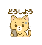 茶トラにゃんこと白アザラシの毎日（個別スタンプ：33）