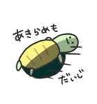 もしもしカメよ、カメさんよ。その3（個別スタンプ：26）