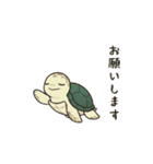 かめさん！！！！（個別スタンプ：1）