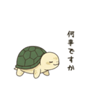 かめさん！！！！（個別スタンプ：4）