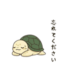 かめさん！！！！（個別スタンプ：5）