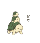 かめさん！！！！（個別スタンプ：6）