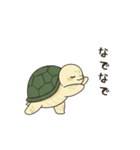 かめさん！！！！（個別スタンプ：7）