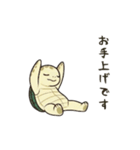 かめさん！！！！（個別スタンプ：8）