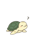 かめさん！！！！（個別スタンプ：12）