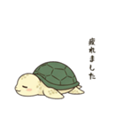 かめさん！！！！（個別スタンプ：14）