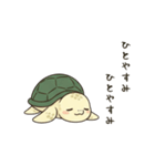 かめさん！！！！（個別スタンプ：15）