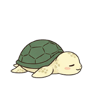 かめさん！！！！（個別スタンプ：19）