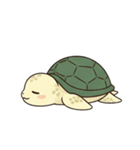 かめさん！！！！（個別スタンプ：23）