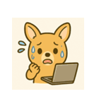 カンガルーと白アザラシの毎日スタンプ（個別スタンプ：3）