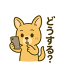 カンガルーと白アザラシの毎日スタンプ（個別スタンプ：9）