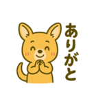 カンガルーと白アザラシの毎日スタンプ（個別スタンプ：13）