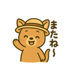 カンガルーと白アザラシの毎日スタンプ（個別スタンプ：17）