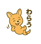 カンガルーと白アザラシの毎日スタンプ（個別スタンプ：20）